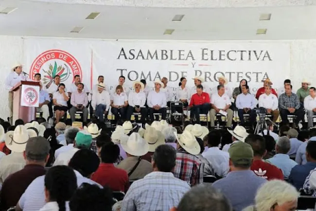 Puede campo convertirse en sector de damnificados