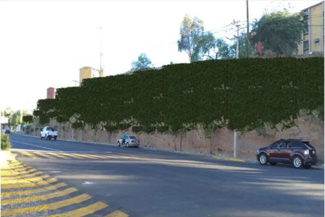 Presentan Ingenieros Proyecto Muro Verde