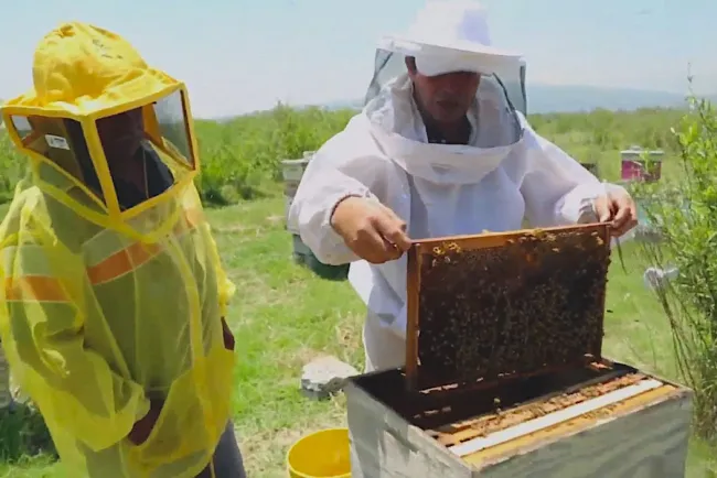Exigen apicultores mejorar los apoyos