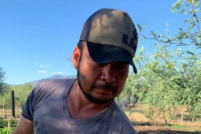 Impulsa Alcalde programa “Sembrando Vida en Nogales”