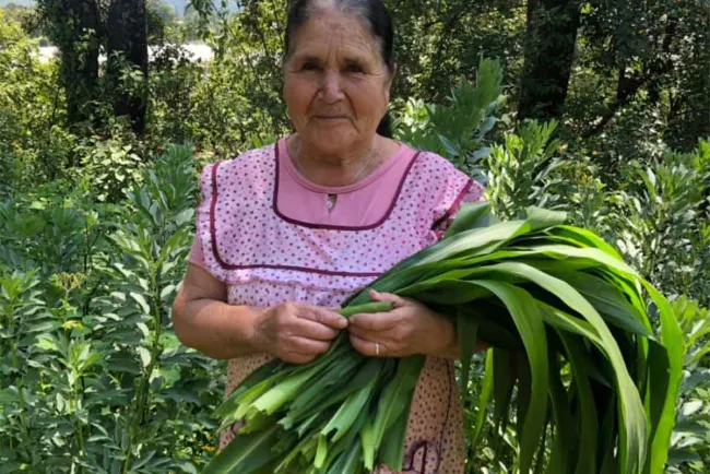 Doña Ángela, la cocinera humilde que rompe fronteras