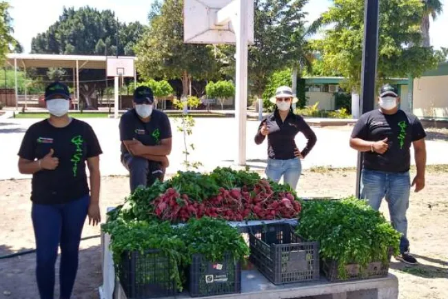 Donan estudiantes hortalizas