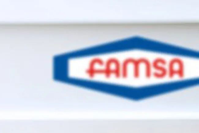 Famsa declara bancarrota en EU; pide reestructura