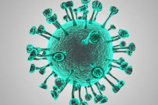 Dolor y muerte provoca Covid-19