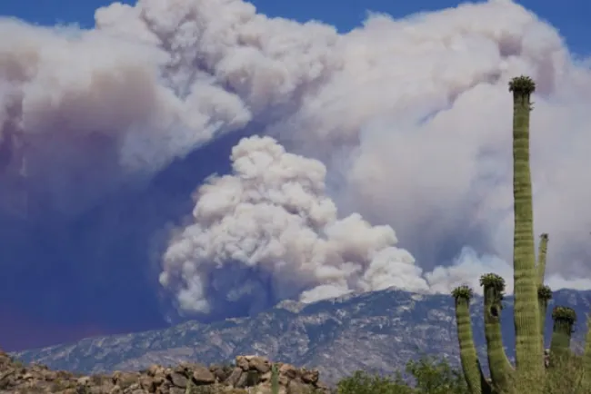 Incontenible incendio al Norte de Tucson