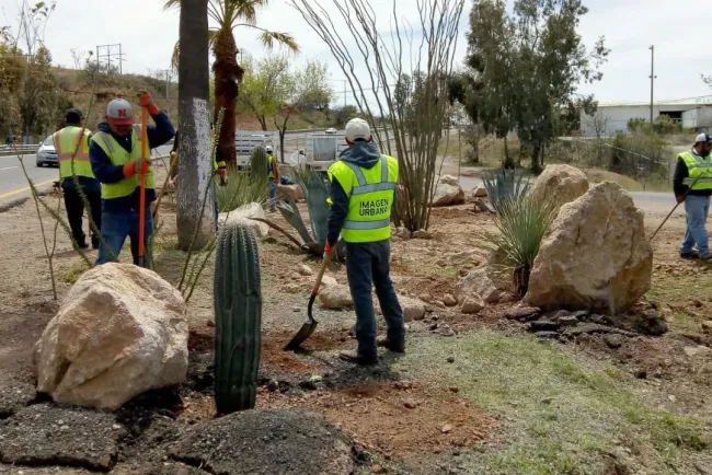 Buscan proteger el medio ambiente