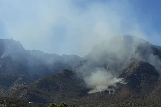 Controlan incendio forestal