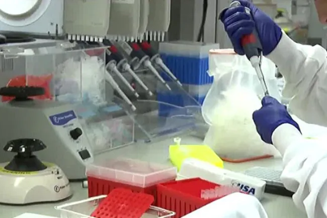 Es Arizona el mayor centro de contagio en el mundo