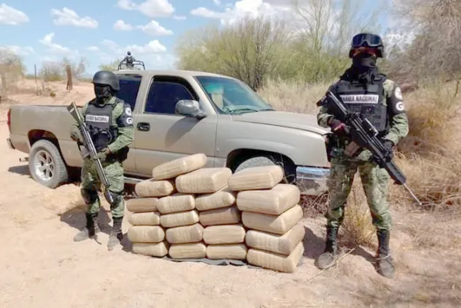 Aseguran cien kilos de marihuana en Pitiquito