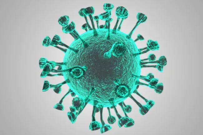 Avanza Coronavirus en Nogales