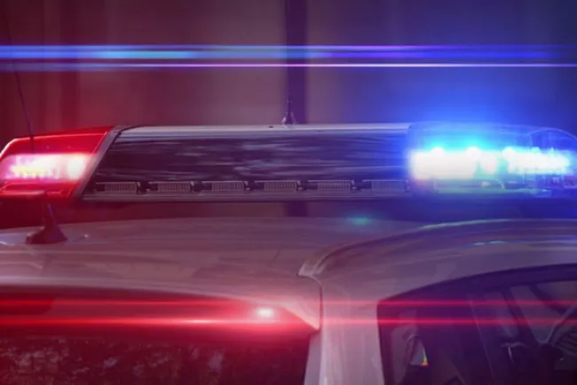 Dan marcha atrás a ordenamiento