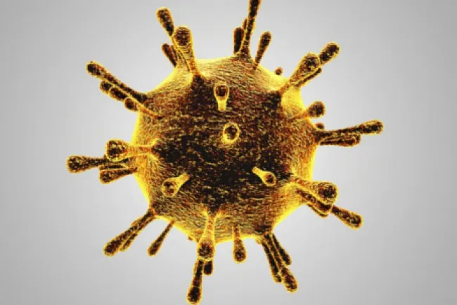 Suma Arizona dos mil 337 fallecimientos