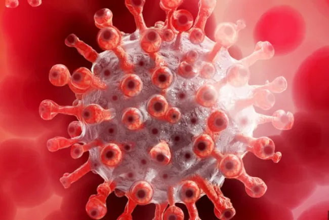 Fallece una maestra contagiada con Covid-19