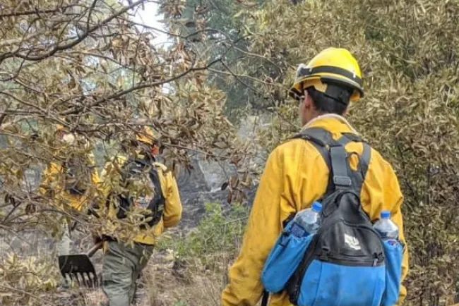 Apoyan bomberos en incendio de Imuris