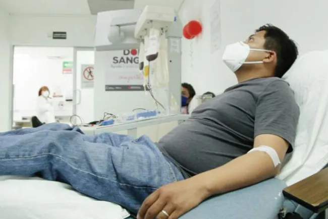 Donan plasma convaleciente