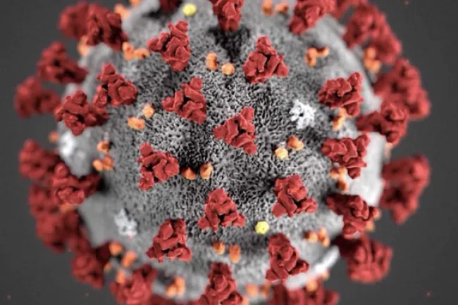 Trasladan a pacientes a Nuevo México