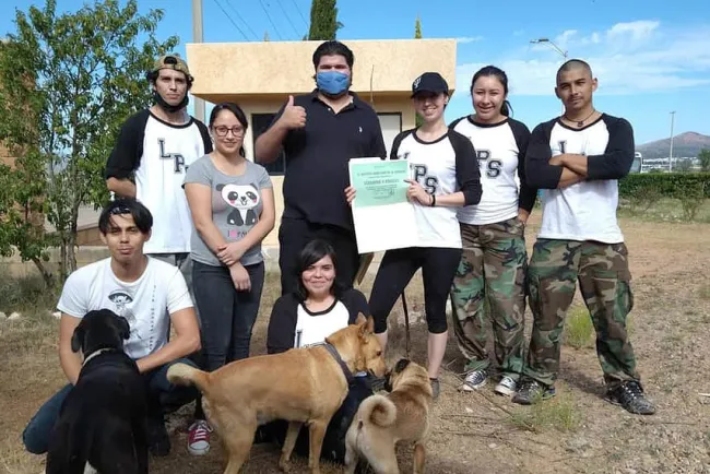 Realizan acciones de reforestación