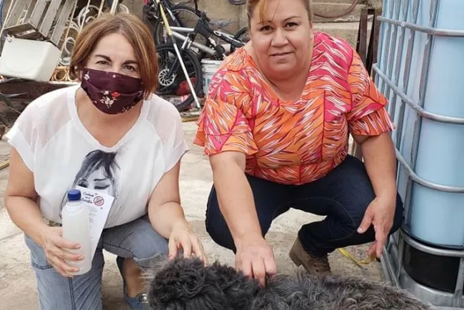 Realizan campaña para prevención de Ricketsia