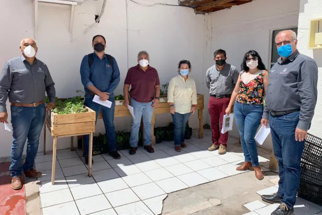 Participa Comisión en Sembrando Vida