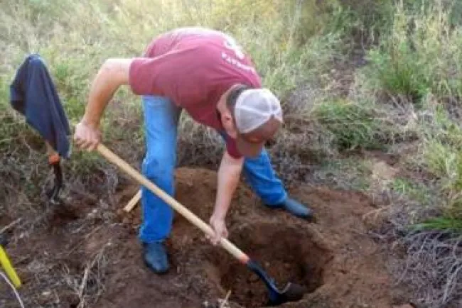 Se cumplen metas de conservación ambiental