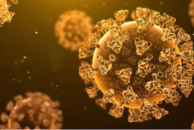 Mueren 104 en un día en Arizona