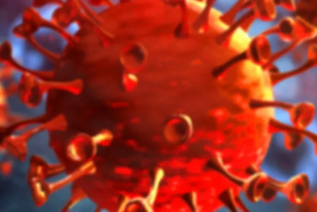 Se acerca Nogales a 50 fallecimientos