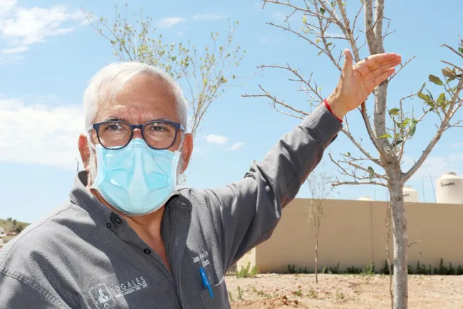 Reforesta empresa la colonia Fuente de Piedra