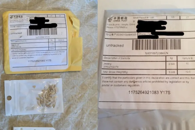 Identifican semillas enviadas de China