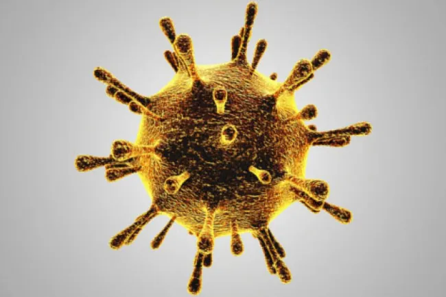 Supera Arizona las tres mil 800 muertes