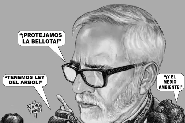 Cartón