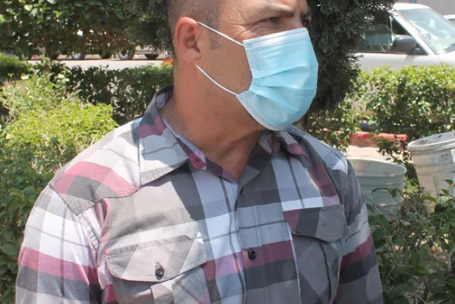 Continúa trasplante de árboles