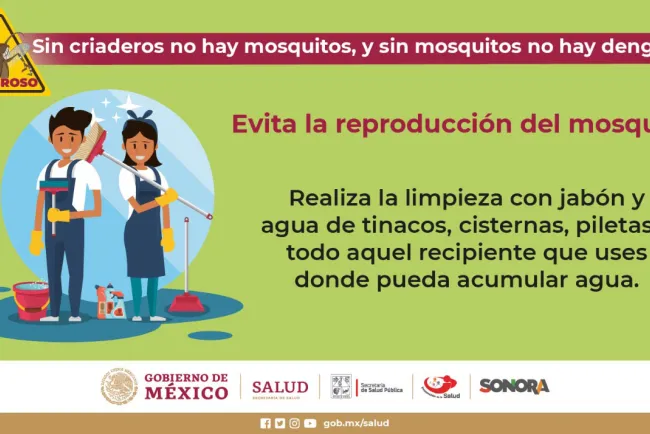 Llaman a eliminar criaderos de moscos