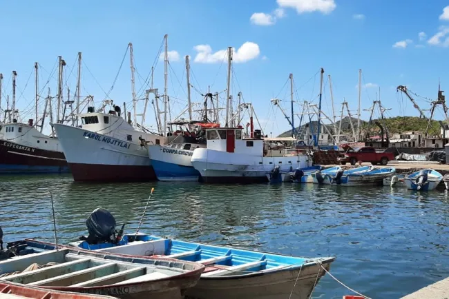 Anuncian cese de veda camaronera