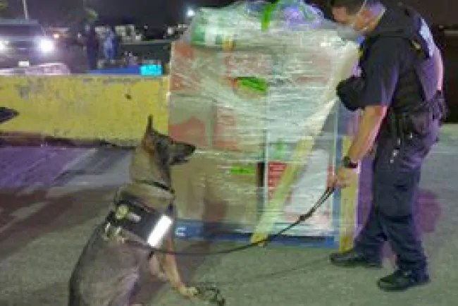 Decomisan 27 millones de dólares