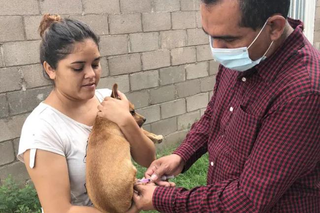 Realizan campaña de vacunación