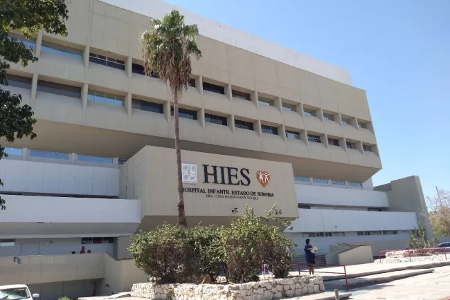 Retoman consultas con especialistas