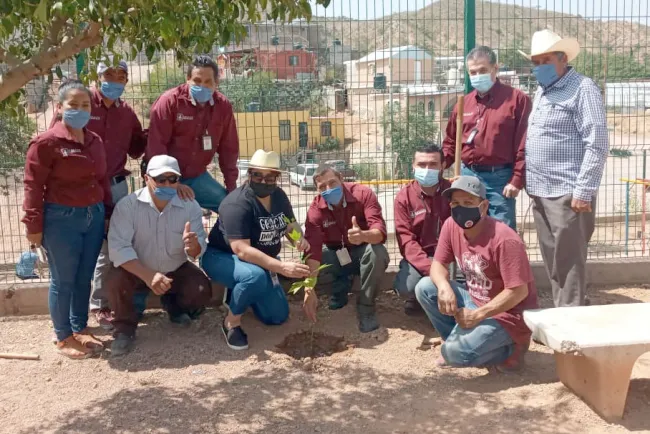 Reforestan parque en la Flores Magón
