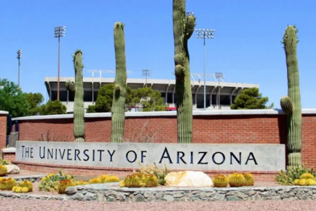 Alarma posible rebrote de Covid-19