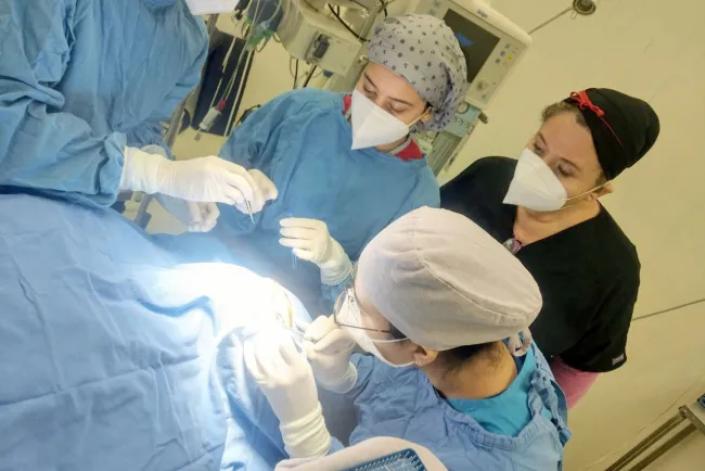 Realizan sexta donación multiorgánica en Sonora