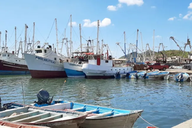Sólido sector agroalimentario