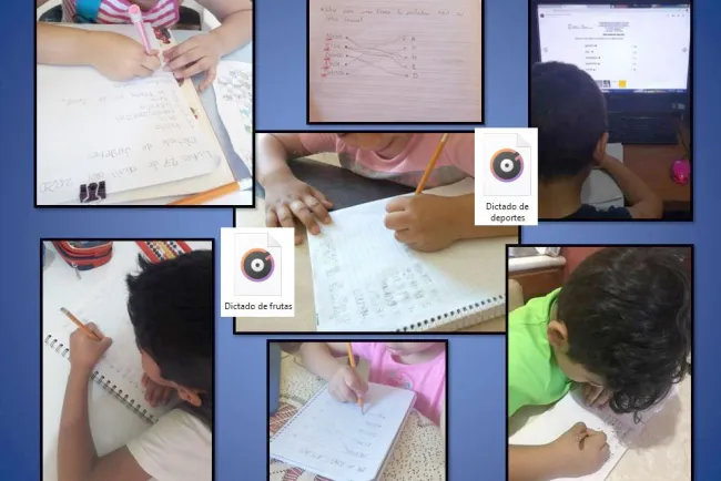 Elaboran proyecto para combatir analfabetismo