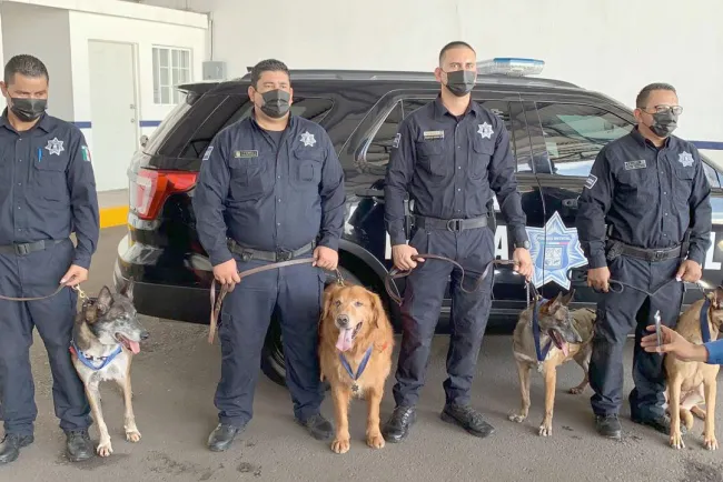 Reconocen a agentes caninos