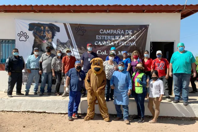 Fortalecen campaña de esterilización