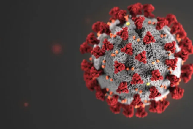 Llegan millones de pruebas a Arizona