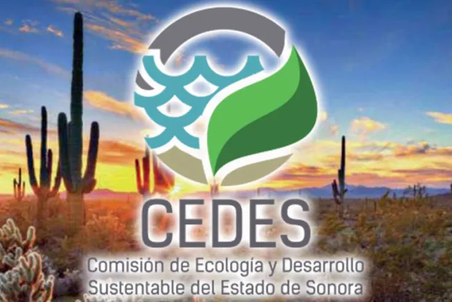 Convocan a proyectos ambientalistas