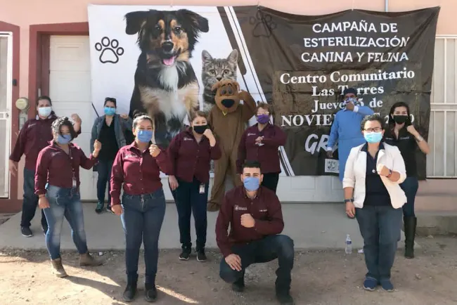 Coordinan Municipio y Estado exitosa campaña de esterilización