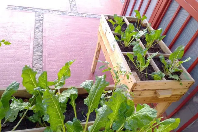 Promueve Alcalde programas sociales