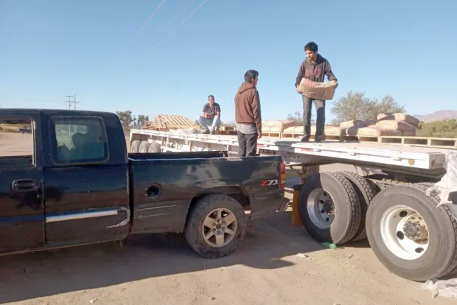 Entregan cemento en Mascareñas