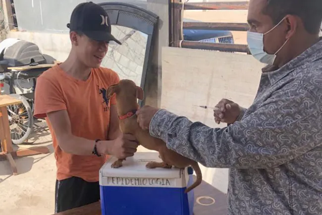 Anuncian campaña de vacunación y esterilización en colonias