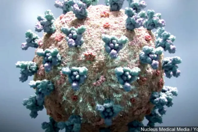 Supera Arizona los 300 mil contagios